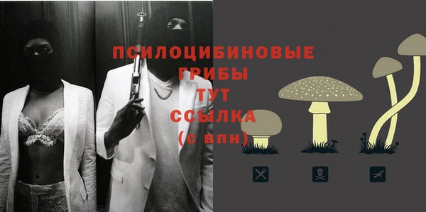 прущая мука Абаза