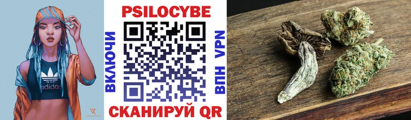 Псилоцибиновые грибы прущие грибы  Дубна 