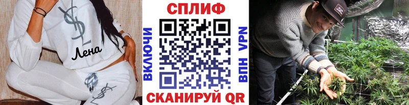 Бошки марихуана ГИДРОПОН  наркошоп  Дубна 